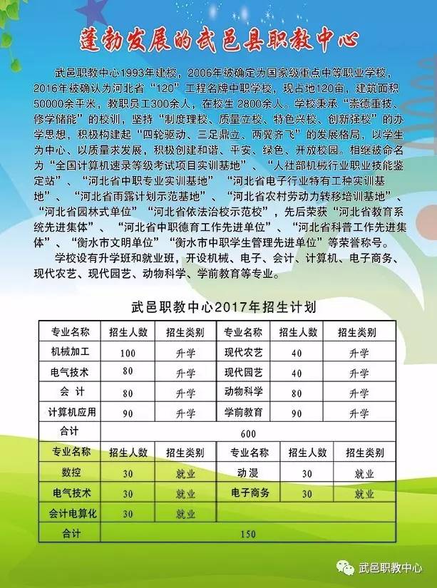 武邑招聘网